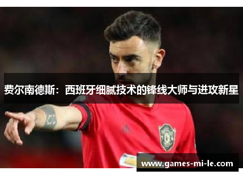 费尔南德斯:西班牙细腻技术的锋线大师与进攻新星 费尔南德斯:西班牙细腻技术的锋线大师与进攻新星